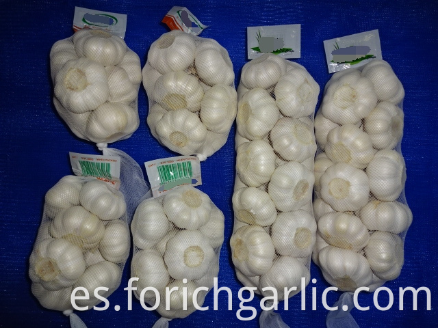 Pure Garlic New Crop 2019